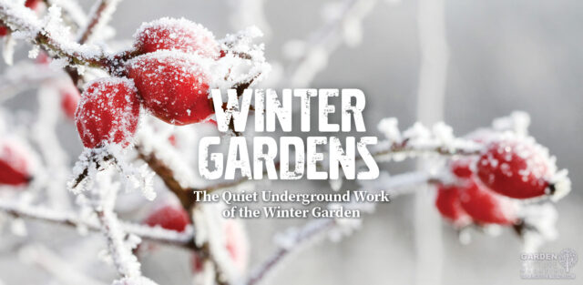 The Quiet Underground Work of the Winter Garden