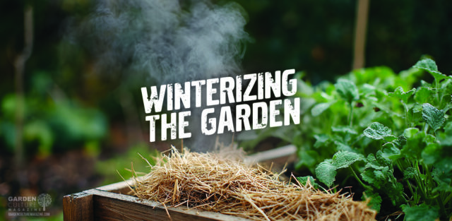Winterizing the garden – prepare the garden for winter.