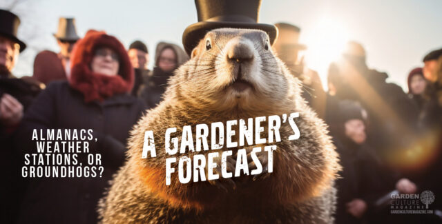 Celebrating groundhogs day.