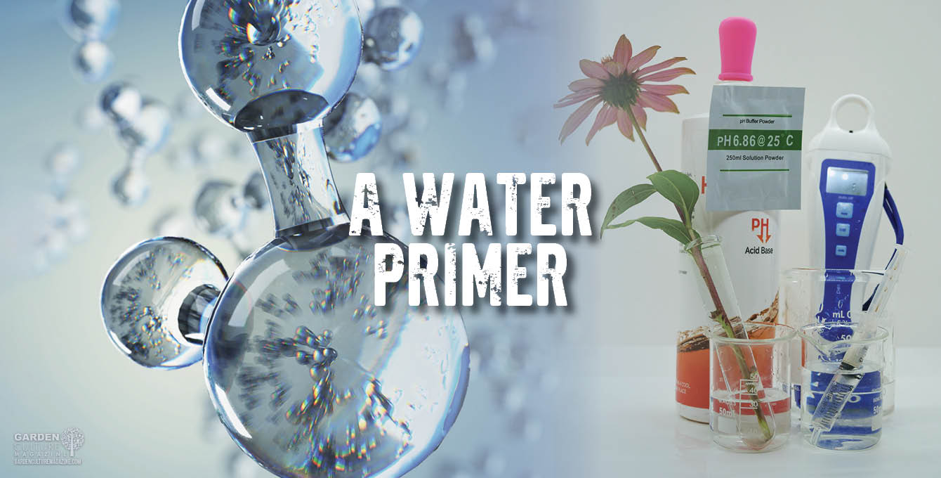 A Water Primer