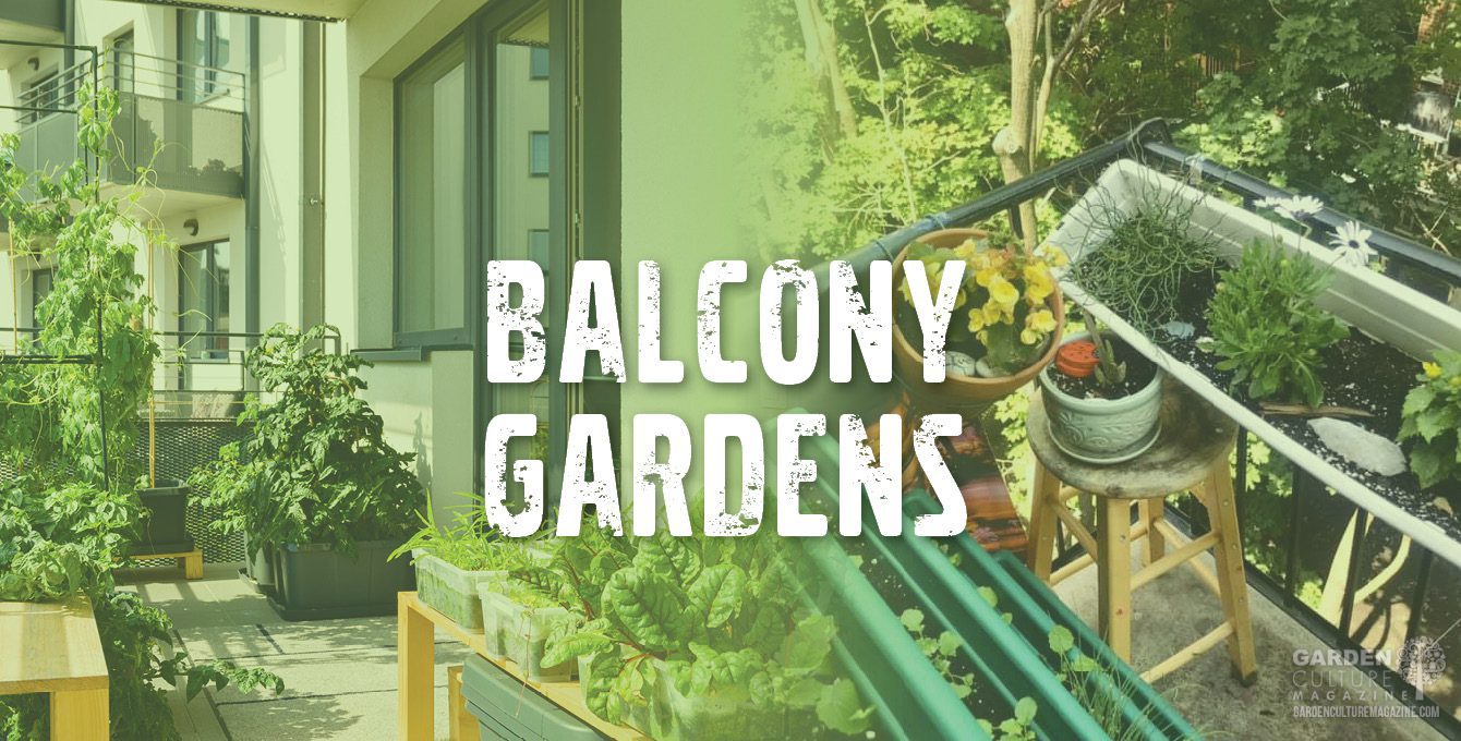 Balcony Gardens