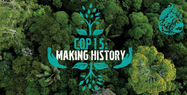 COP15 Making History