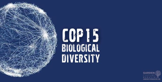 COP15