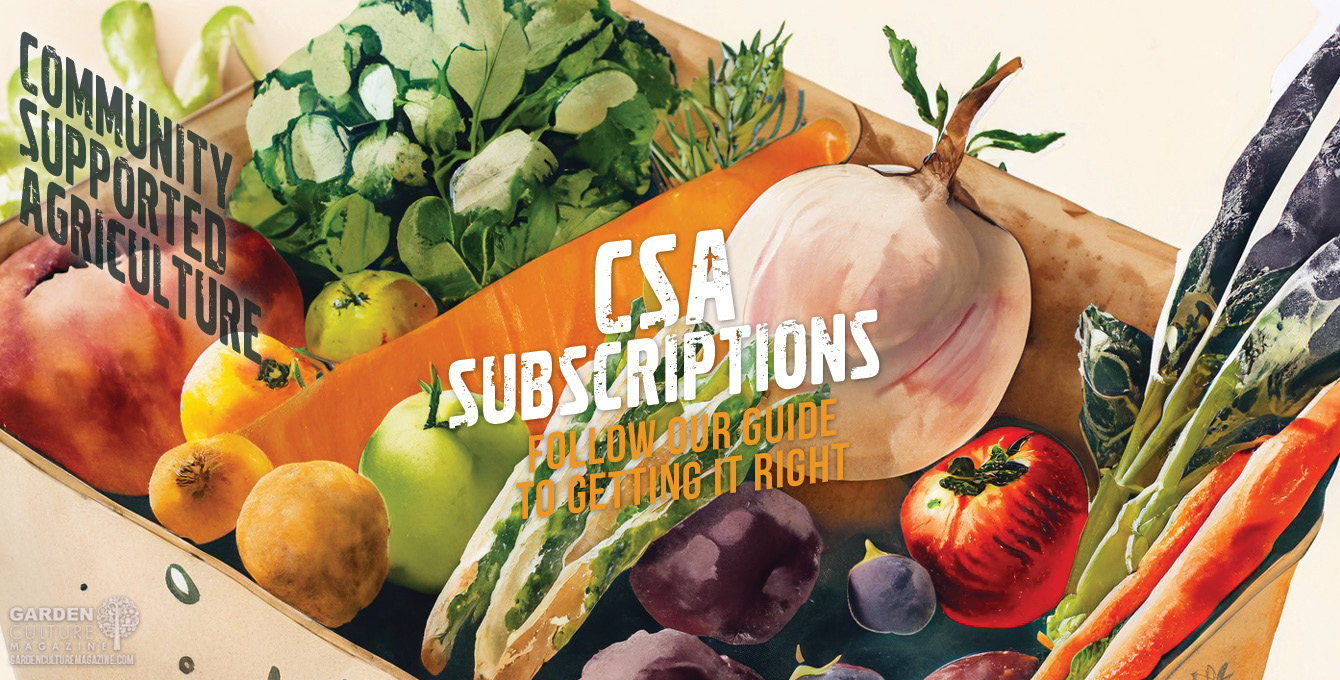 CSA subscriptions - a guide to getting it right