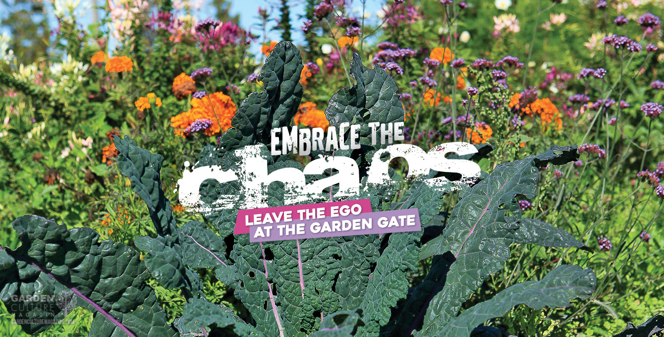 Embrace the chaos o the garden