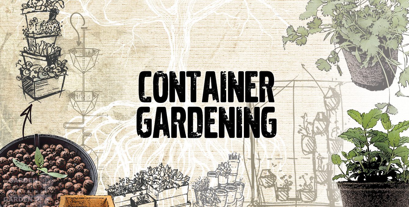 Container gardening