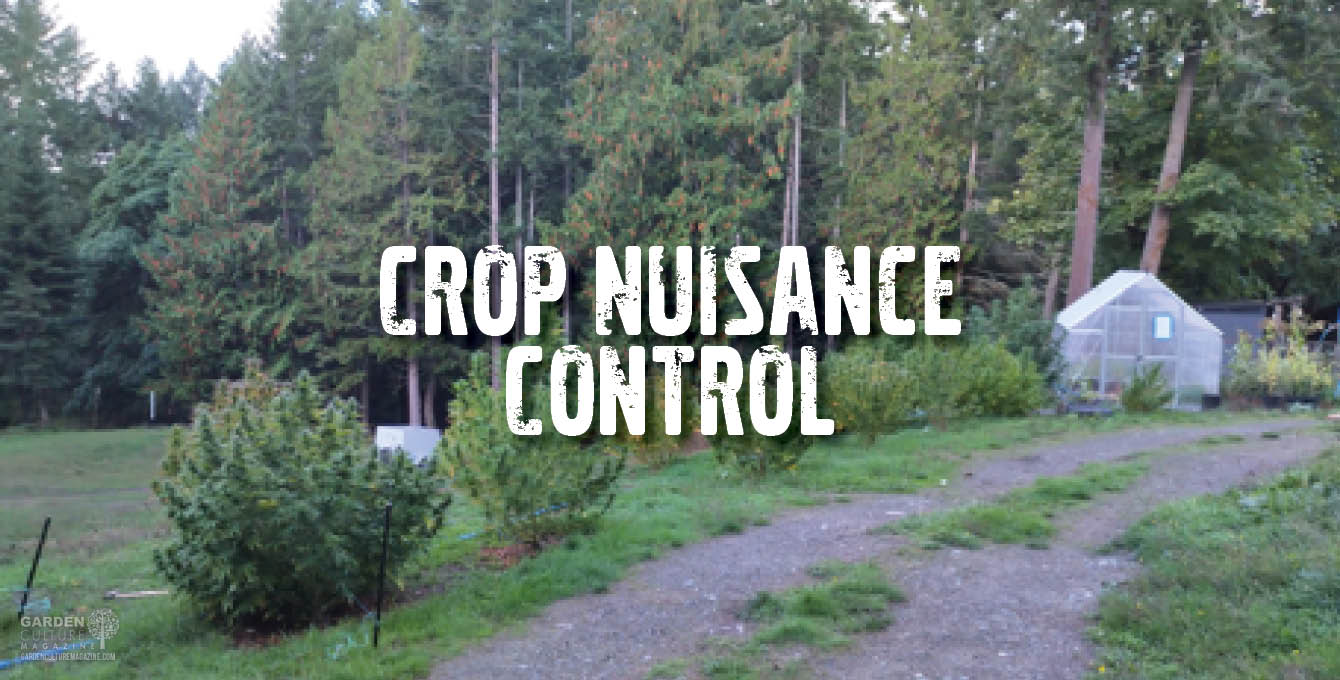 Crop Nuisance Control