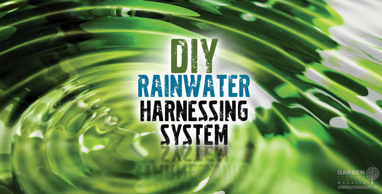 DIY Rainwater Harnessing System