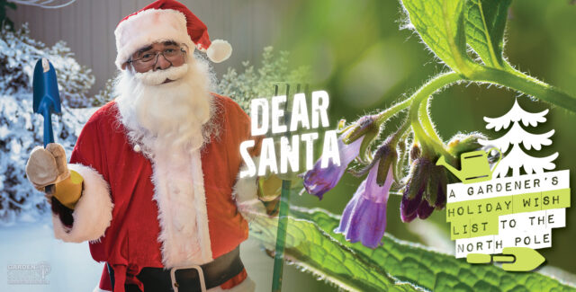 Dear Santa: Sustainable gift ideas for the eco-gardener