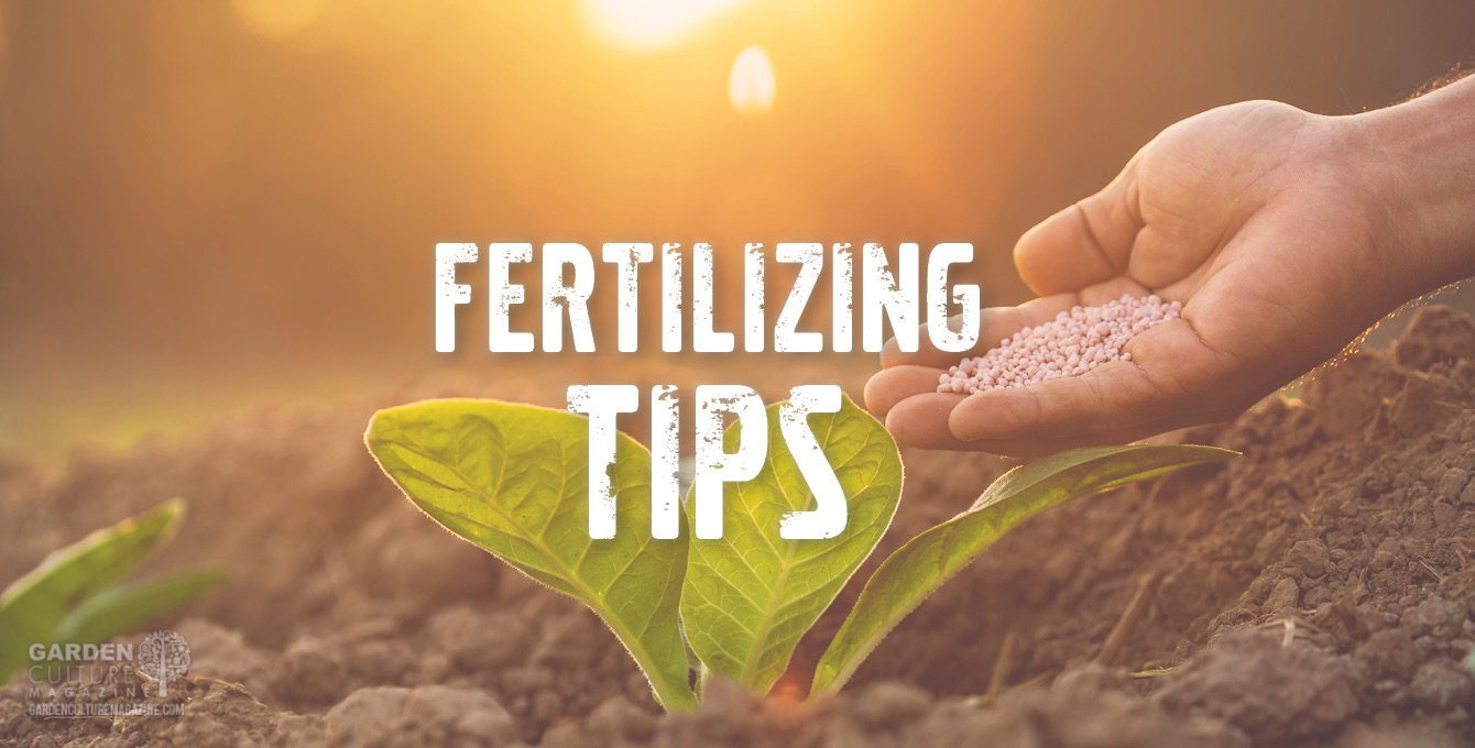 Fertilizing tips