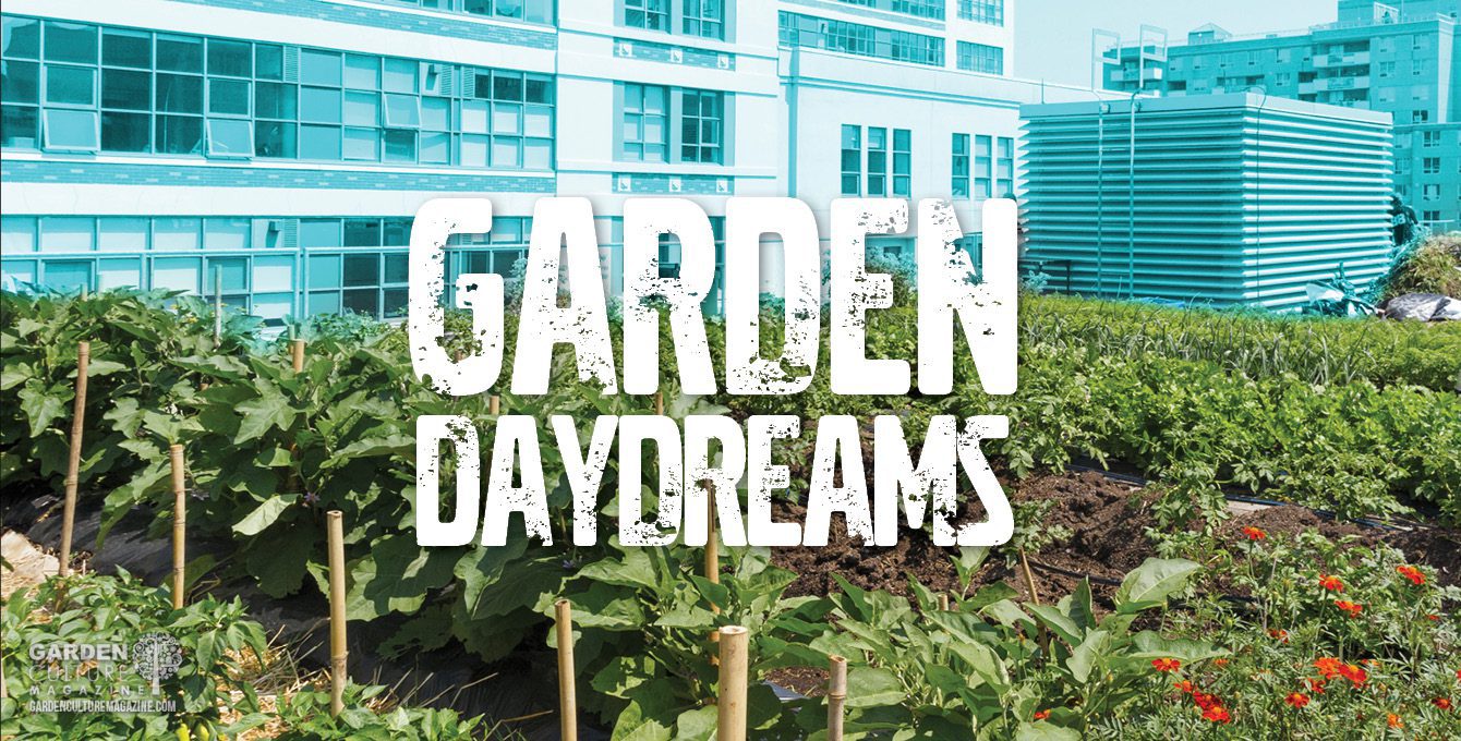 garden daydreams