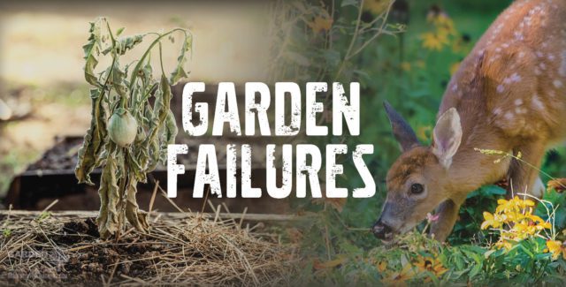 Garden Failures
