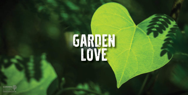 Garden Love