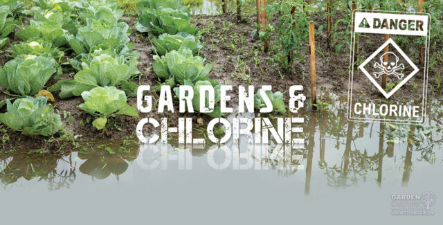 the dangers or chlorine