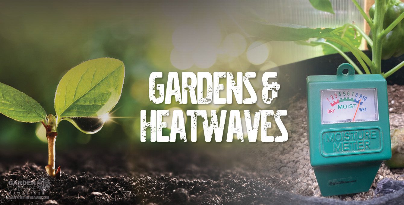 garden heatwaves