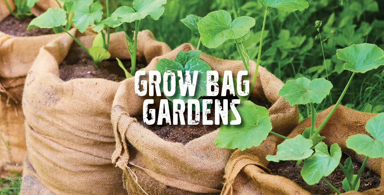 Grow Bag Gardens