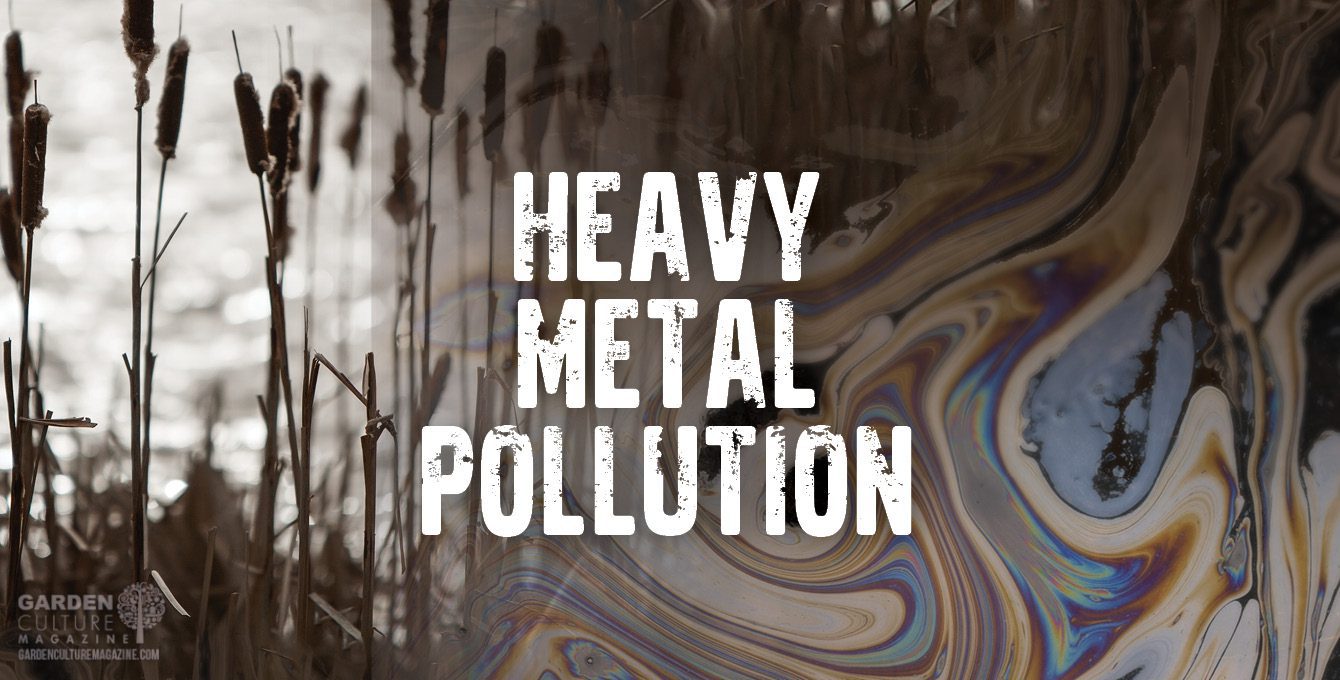 heavy metal pollution