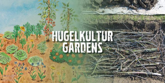 Hugelkultur Gardens