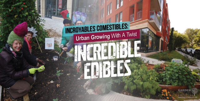 growing in urban areas