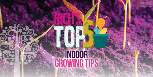 Rich's Top 5 Indoor Growing Tips