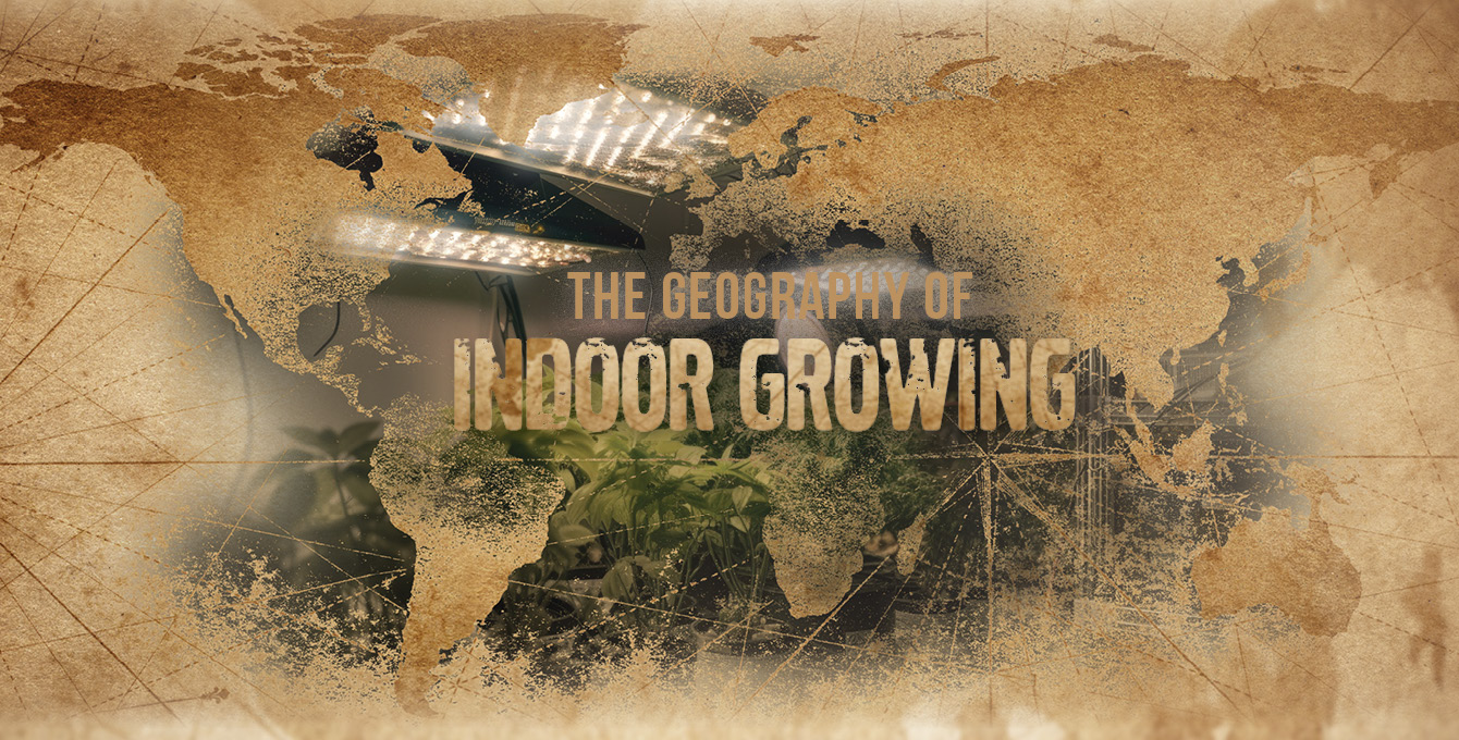 How geography can affect your indoor garden