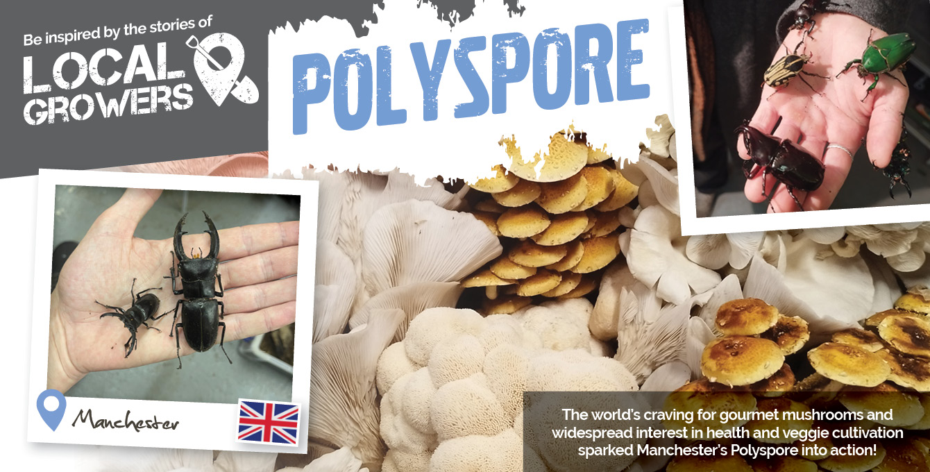 Polyspore Mushroom farm