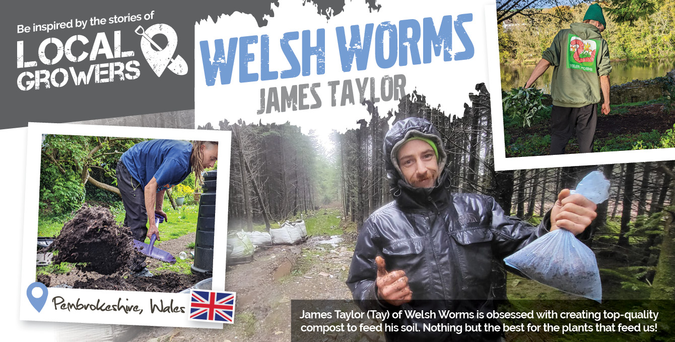 Welsh Worms