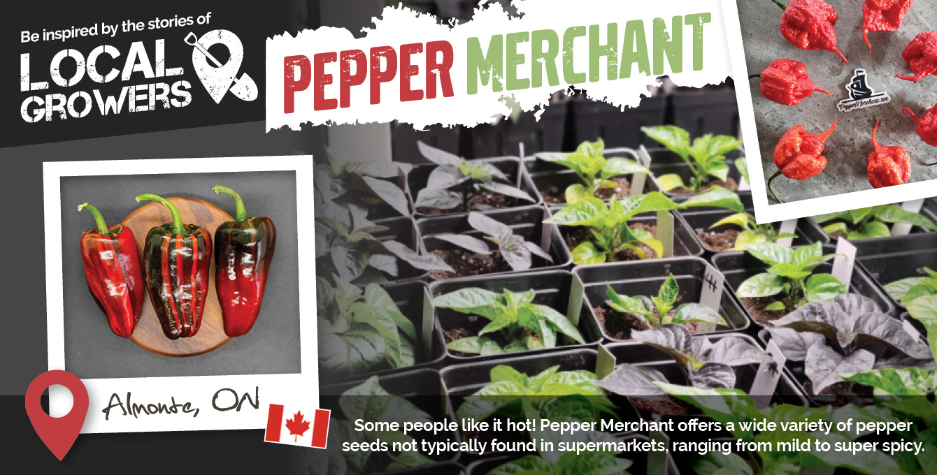 Pepper Merchants
