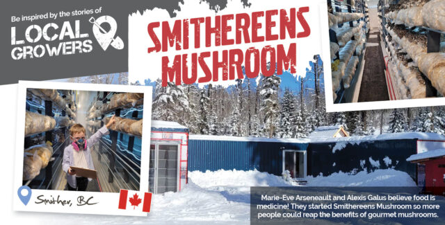Smithereens Mushrooms