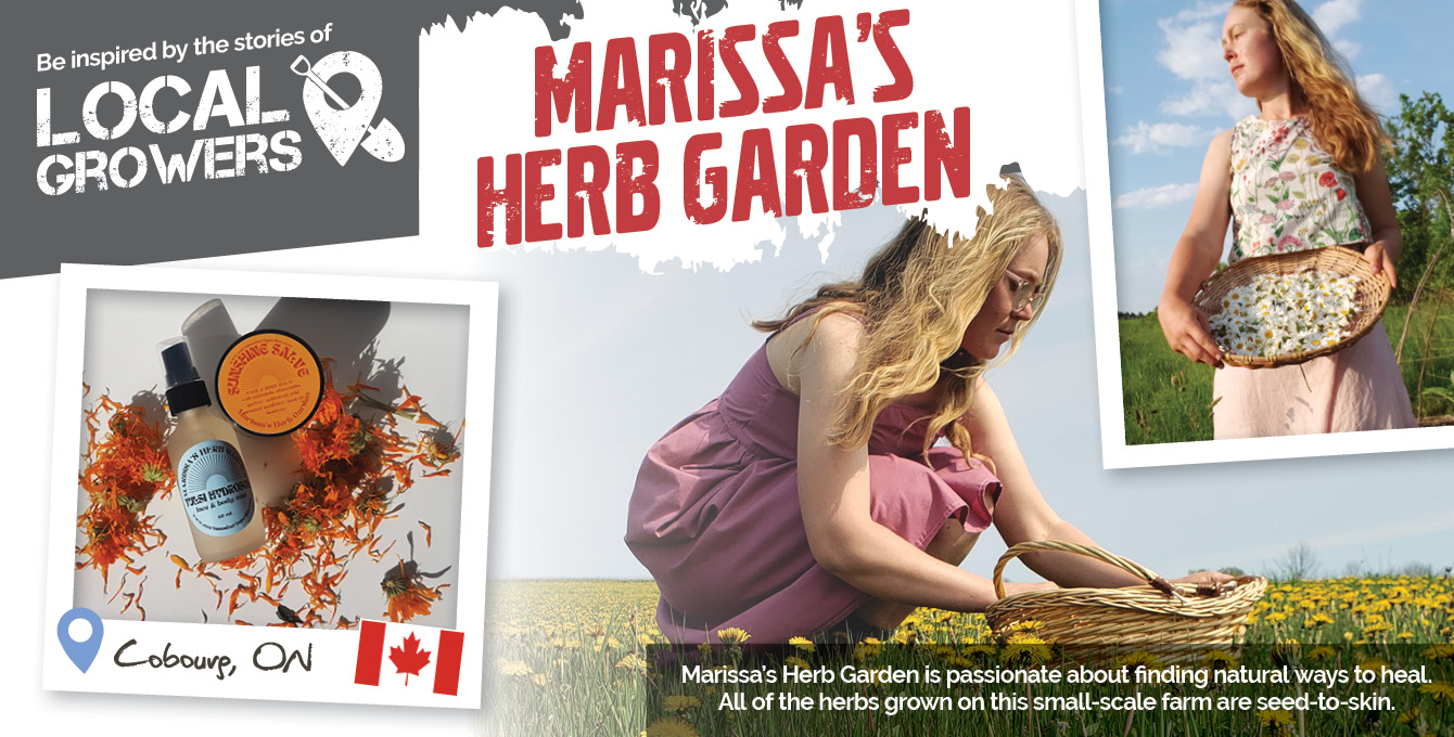 Marissa's herb garden