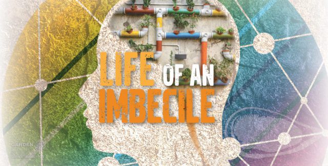 Life of an imbecile