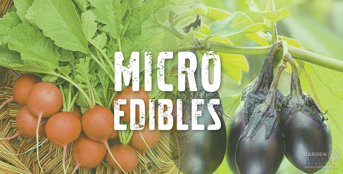 Micro edibles