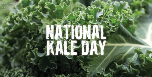 National Kale Day