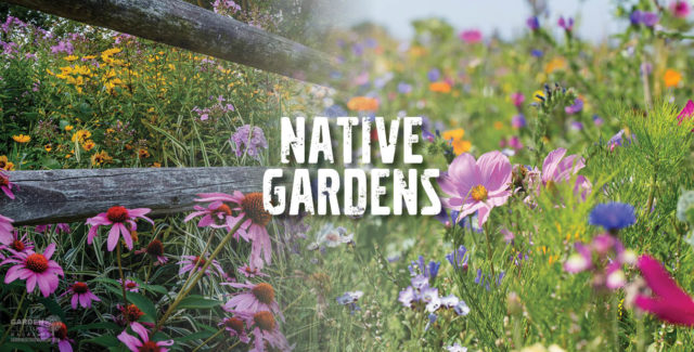 Native Gardens