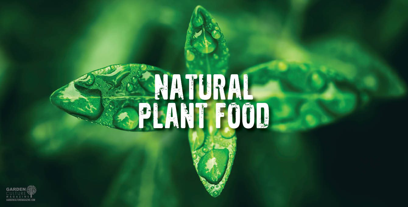 Natural Plant Food
