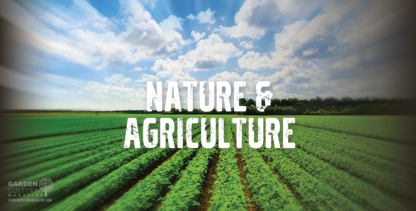 Nature & agriculture