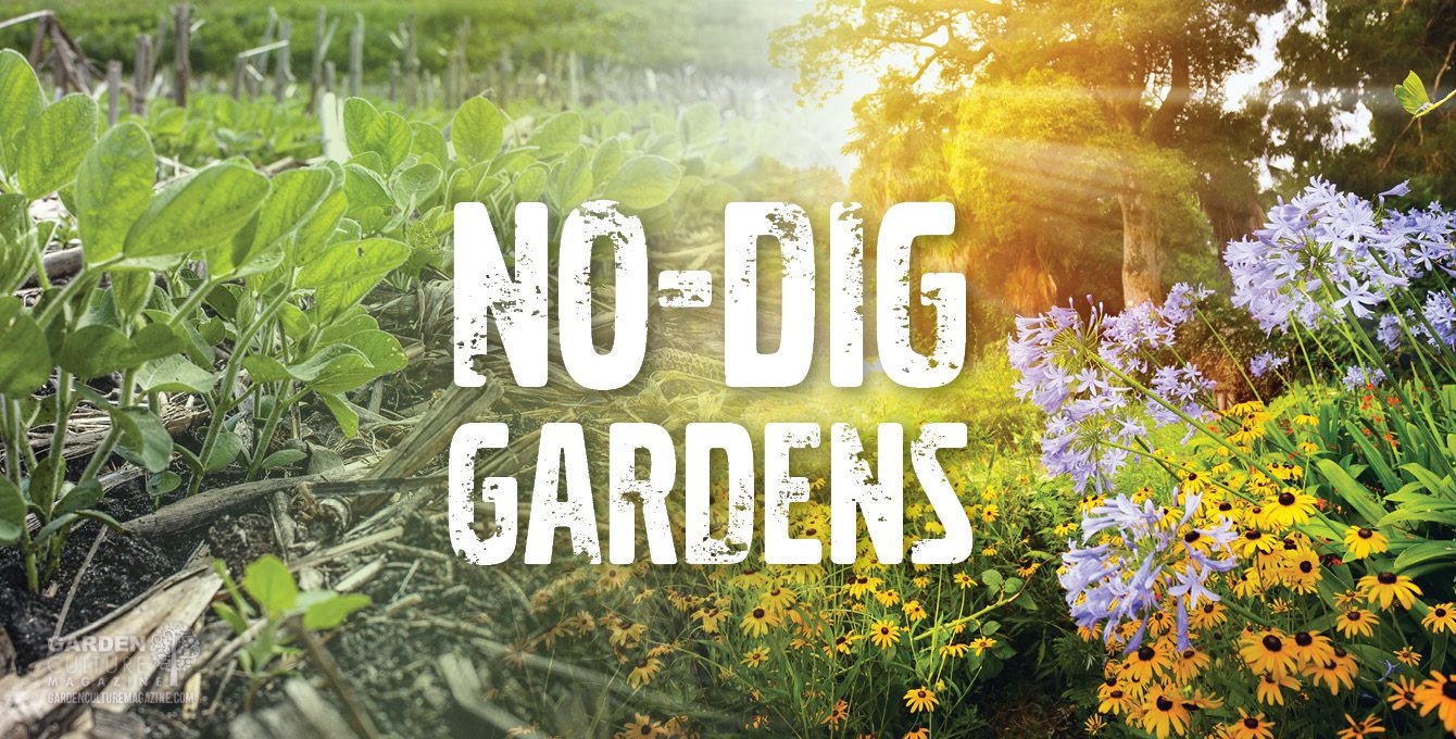 No-Dig Gardens