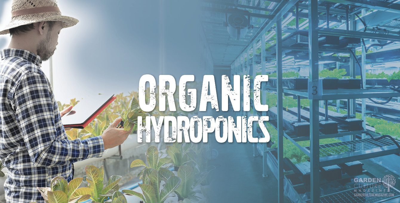 organic hydroponics