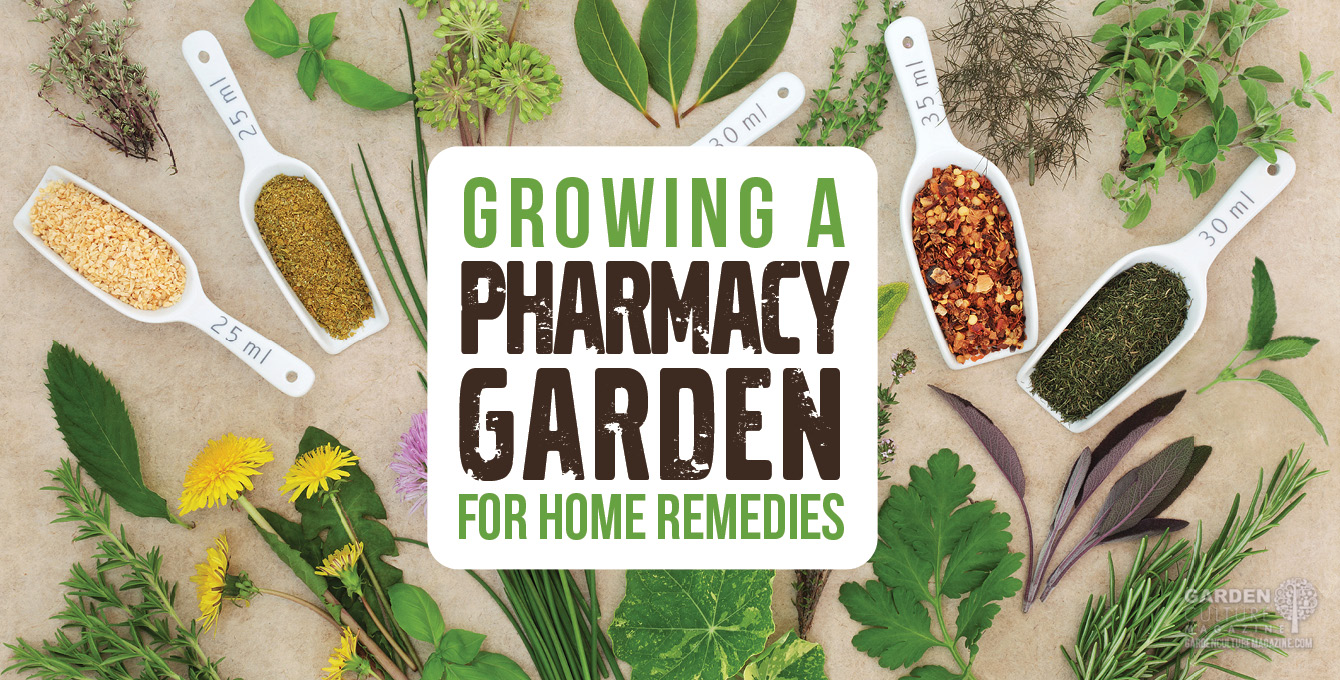 Grow your own remedies