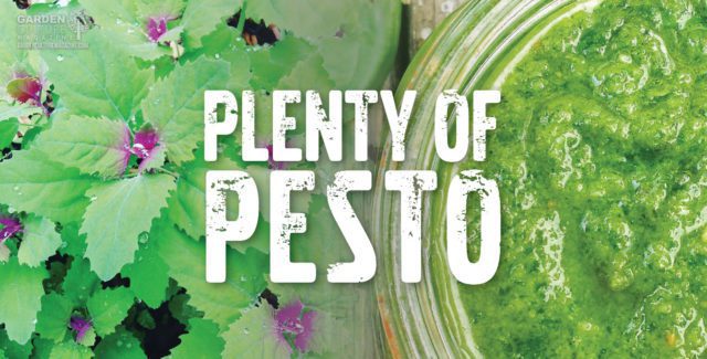 Farm to table Pesto
