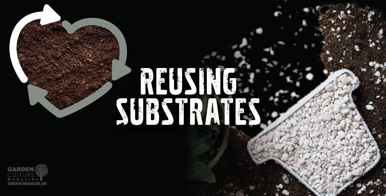 reusing substrates