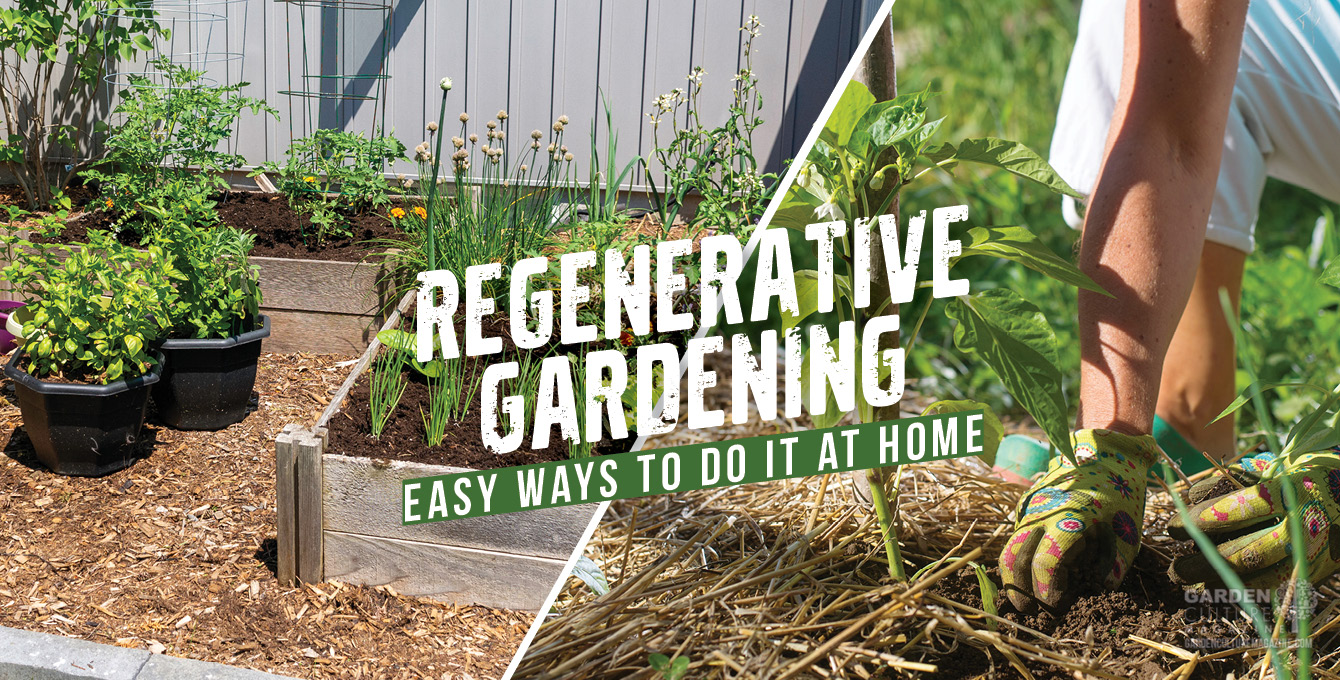 regenerative gardening