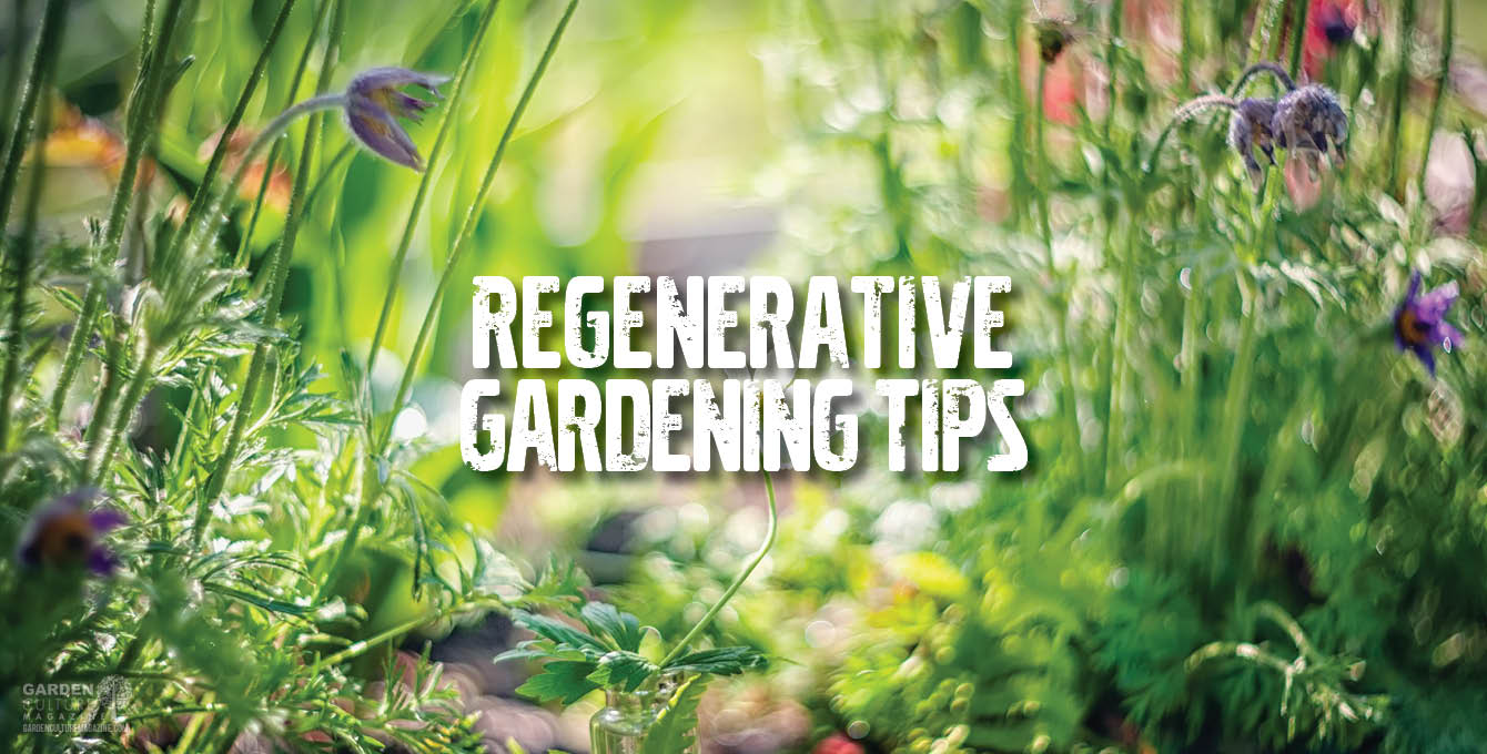 Regenerative Gardening Tips