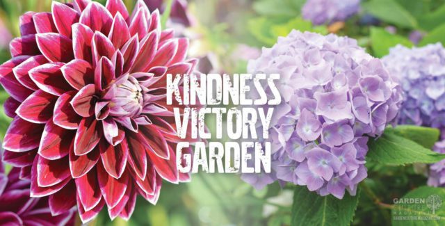 kindness victory garden