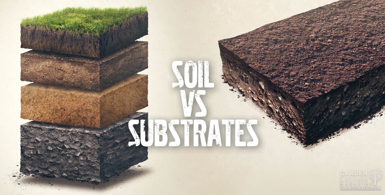 Soil vs substrates