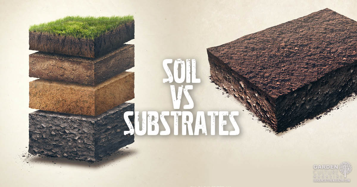 Soil vs Substrates How One Difference Changes Everything GCMag