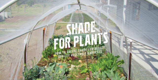 protect your plants from the sun