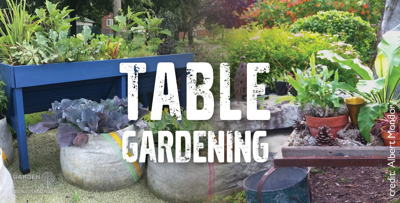 Table gardening