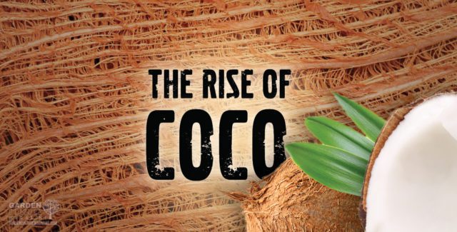 The Rise of Coco