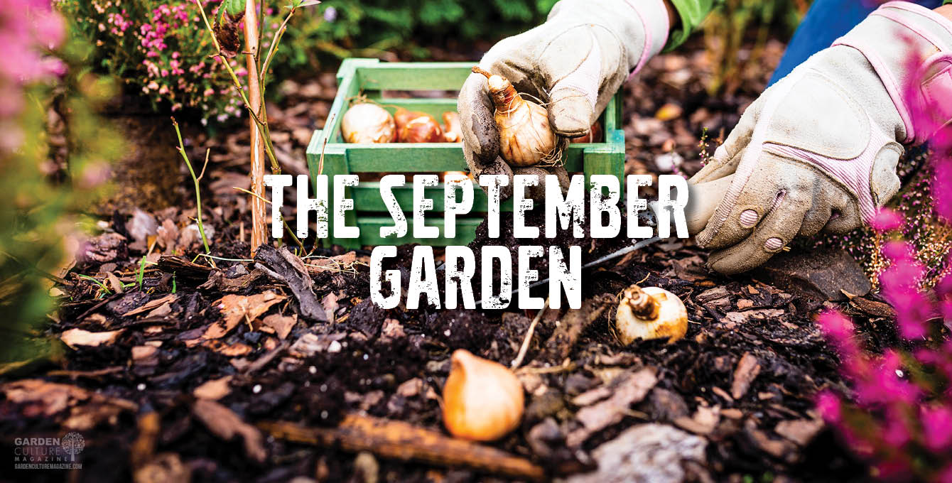 September Garden Tips